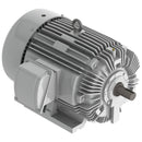 EP0754 Teco-Westinghous 75 HP Cast Iron Electric Motor, 1800 RPM-1