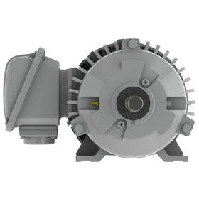 EP0/785 Teco-Westinghous 3/4 HP Cast Iron Electric Motor, 900 RPM - 0