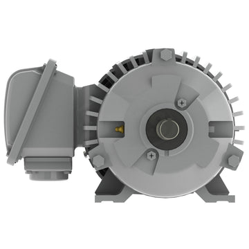 EP0/785 Teco-Westinghous 3/4 HP Cast Iron Electric Motor, 900 RPM - 0