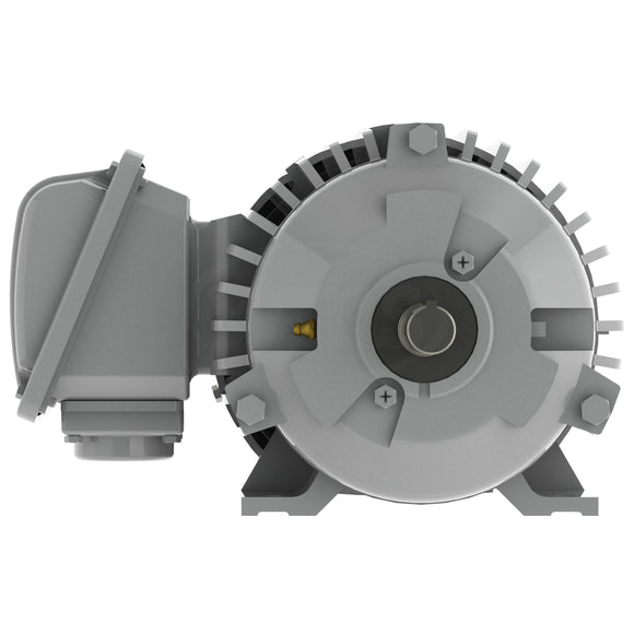 EP0/78 Teco-Westinghouse 3/4HP Cast Iron Electric Motor, 900 RPM