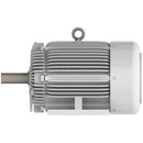 EP10045R Teco-Westinghous 100 HP Cast Iron Electric Motor, 1800 RPM-3