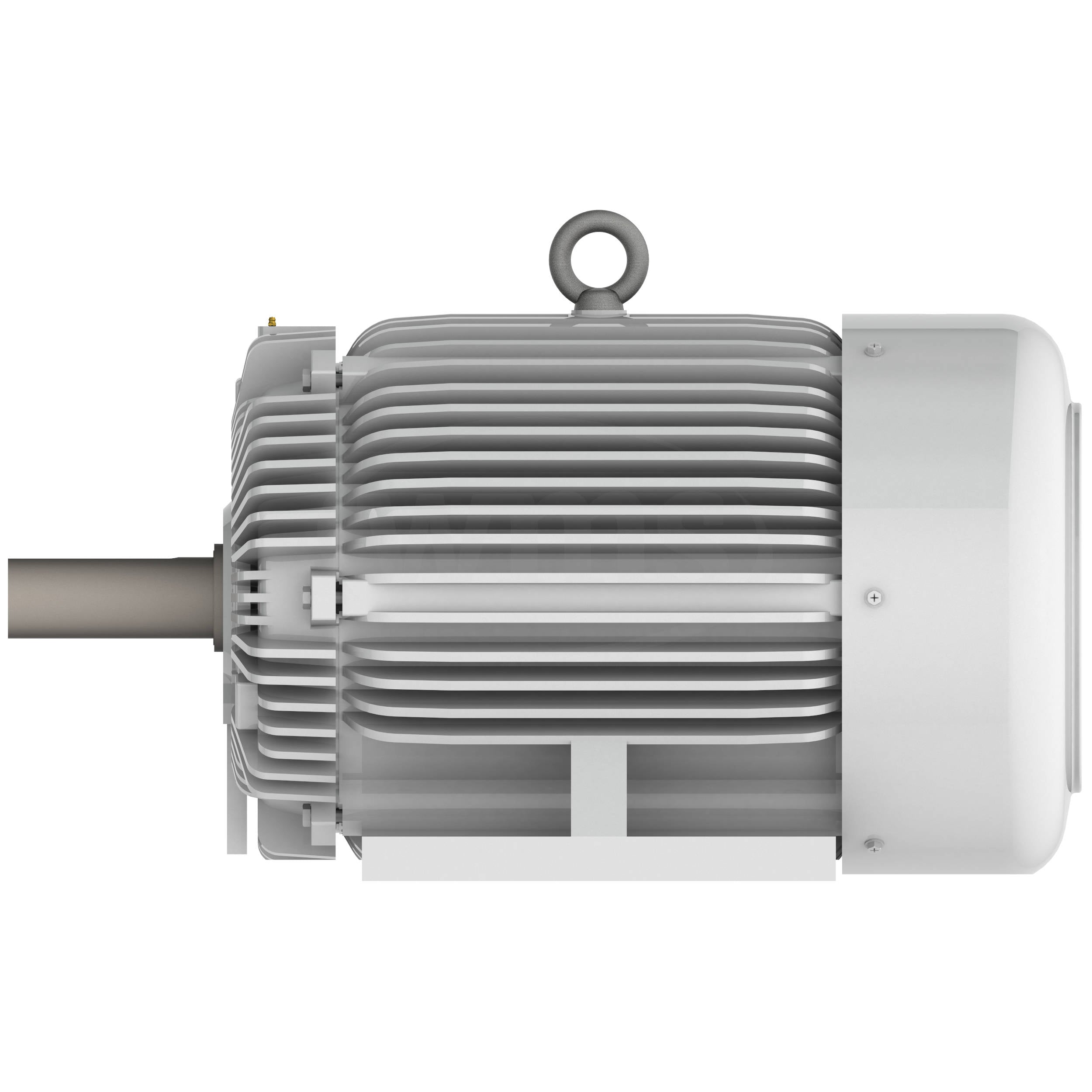 EP1004R Teco-Westinghous 100 HP Cast Iron Electric Motor, 1800 RPM