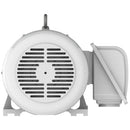 EP1004R Teco-Westinghous 100 HP Cast Iron Electric Motor, 1800 RPM-4