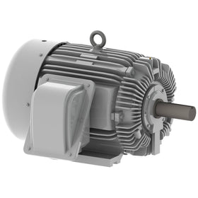 EP1004 Teco-Westinghouse 100HP Cast Iron Electric Motor, 1800 RPM - 0