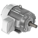 EP1254 Teco-Westinghouse 125HP Cast Iron Electric Motor, 1800 RPM-1