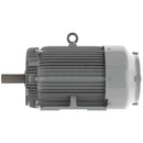 EP12585 Teco-Westinghouse 125HP Cast Iron Electric Motor, 900 RPM-5