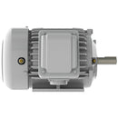 EP1/545 Teco-Westinghouse 1.5HP Cast Iron Electric Motor, 1800 RPM-2