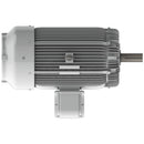 EP25045 Teco-Westinghouse 250HP Cast Iron Electric Motor, 1800 RPM-7