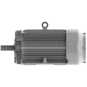 EP30045R Teco-Westinghous 300 HP Cast Iron Electric Motor, 1800 RPM - 0