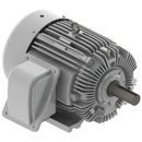 EP606R Teco-Westinghous 60 HP Cast Iron Electric Motor, 1200 RPM-1