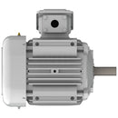 EP7/52 Teco-Westinghouse 7.5HP Cast Iron Electric Motor, 3600 RPM-6