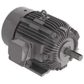 NP0156 15 HP Teco-Westinghouse Cast Iron Electric Motor, 1200 RPM
