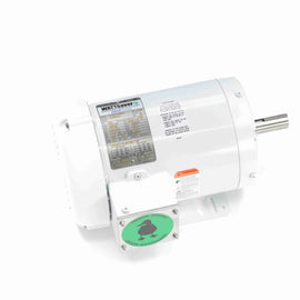 121865.00 Leeson Washguard Motor, 1 HP, 1800 RPM