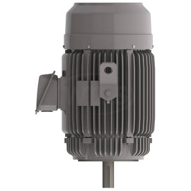 NPV0106C Teco-Westinghouse 10HP MAX-PE Cast Iron Electric Motor, 1200RPM