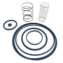 FRN-24571-1 FS-Curtis Inlet Valve Spare Parts Kit, RS15-50F-8