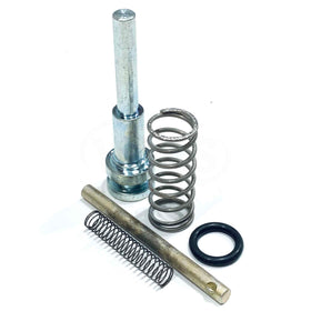 FSK-D96HPSV FS-Curtis Valve Replacement Kit
