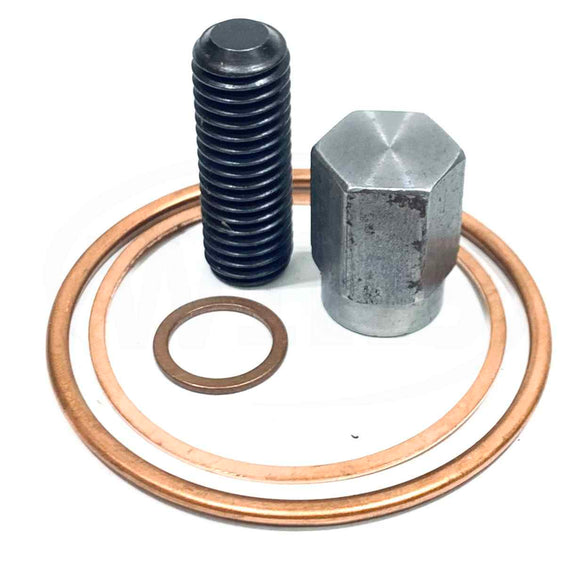 FSK-D96LPDV FS-Curtis Valve Replacement Kit D96 LPDV