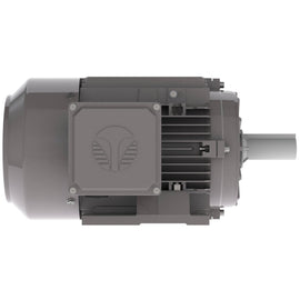 GX3-AL-TF-145T-6-B-D-1 Techtop 1HP Electric Motor, 1200RPM