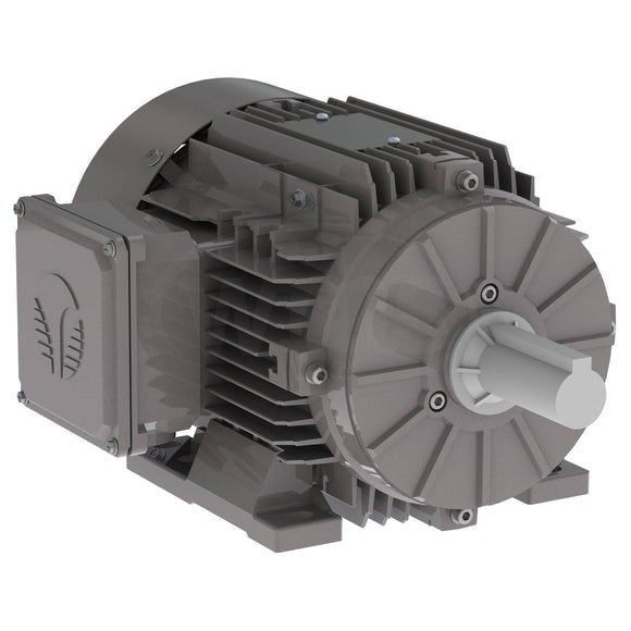 GR3-AL-TF-56J-2-B-D-3 Techtop 3HP Eelctric Pump Motor, 3600RPM