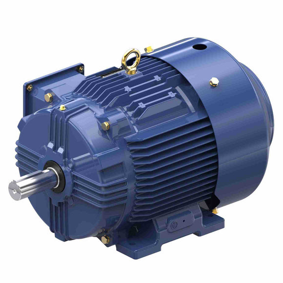 GT1025A Marathon 20HP Globetrotter Electric Motor, 1800RPM