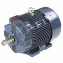GT1031A Marathon 30HP Globetrotter Electric Motor, 1800RPM-4