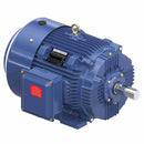 GT1034A Marathon 40HP Globetrotter Electric Motor, 1800RPM-1