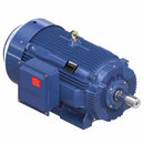 GT1056A Marathon 200HP Globetrotter Electric Motor, 1200RPM-1