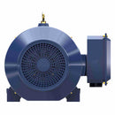 GT1056A Marathon 200HP Globetrotter Electric Motor, 1200RPM-2