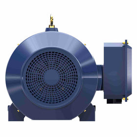 GT1056A Marathon 200HP Globetrotter Electric Motor, 1200RPM - 0