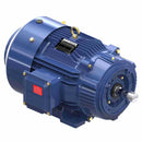 GT1224A Marathon 20HP Globetrotter Electric Motor, 3600RPM-1