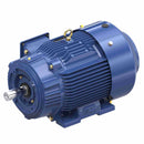GT1224A Marathon 20HP Globetrotter Electric Motor, 3600RPM-2