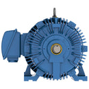 HB0408 Teco-Westinghouse 40HP IEEE 841 Severe Duty Electric Motor, 900 RPM-2