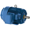 HH1254 Teco-Westinghouse 125HP IEEE 841 Ready Electric Motor, 1800 RPM-6
