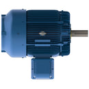 HH1254 Teco-Westinghouse 125HP IEEE 841 Ready Electric Motor, 1800 RPM-5
