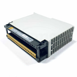 DEP 209 AEG Modicon Input Module 115VAC