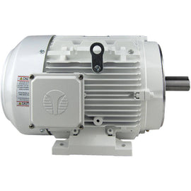 WX3-AL-TF-143TC-4-B-D-1 Techtop 1HP Washdown Electric Motor, 1800RPM