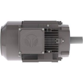 GX3-AL-TF-145TC-2-B-D-2 Techtop 2HP Electric Motor, 3600RPM