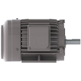 NP0016G Teco-Westinghouse 1HP Cast Iron Electric Motor, 1200 RPM