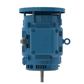 IFPHLQOCPUS1ANB0