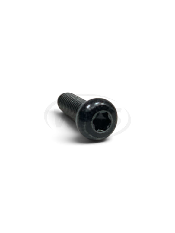 05-81-0156 M5 x 16mm Pan Head T-25 Machine Screw