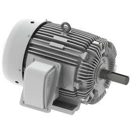 EP03085 Teco-Westinghouse 30HP Cast Iron Electric Motor, 900RPM