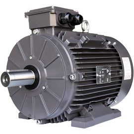XR3-CI-TF-225SB3-4-BR-D-50 Techtop 50HP Electric Motor, 1800RPM