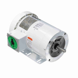 119476.00 Leeson Washguard Motor, 1 HP, 1800 RPM