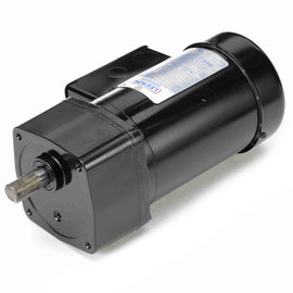 096066.00 Leeson 1/4HP AC Electric Gearmotor, 29RPM