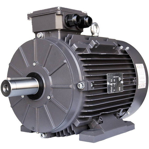 GR3-CI-TF-160LB3-2-BR-D-25 Techtop 25HP Electric Motor, 3600RPM