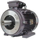 GR3-AL-TF-90SB34-2-B-D-2-BRK Techtop 1HP Electric Motor, 3600RPM