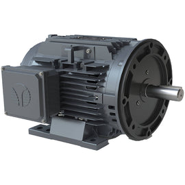 GR3-CI-OP-326TC-4-BR-D-50 Techtop 50HP Electric Motor, 1800RPM