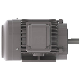 NP0016C 1 HP Teco-Westinghouse Cast Iron Electric Motor, 1200 RPM