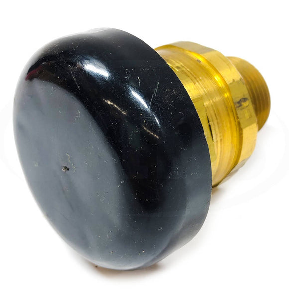 N36 Watts Water Service Vacuum Relief Valve, Size: 3/4, 15 PSI/200 PSI, Brass