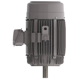 NPV0206C Teco-Westinghouse 20HP MAX-PE Cast Iron Electric Motor, 1200RPM